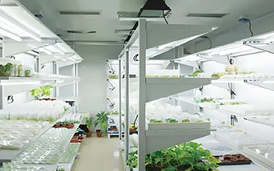 Laboratorium o stałym planowaniu temperatury i kontroli